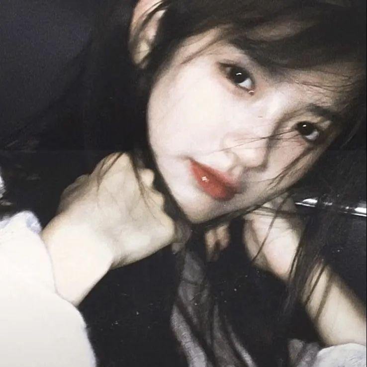 明月守护者